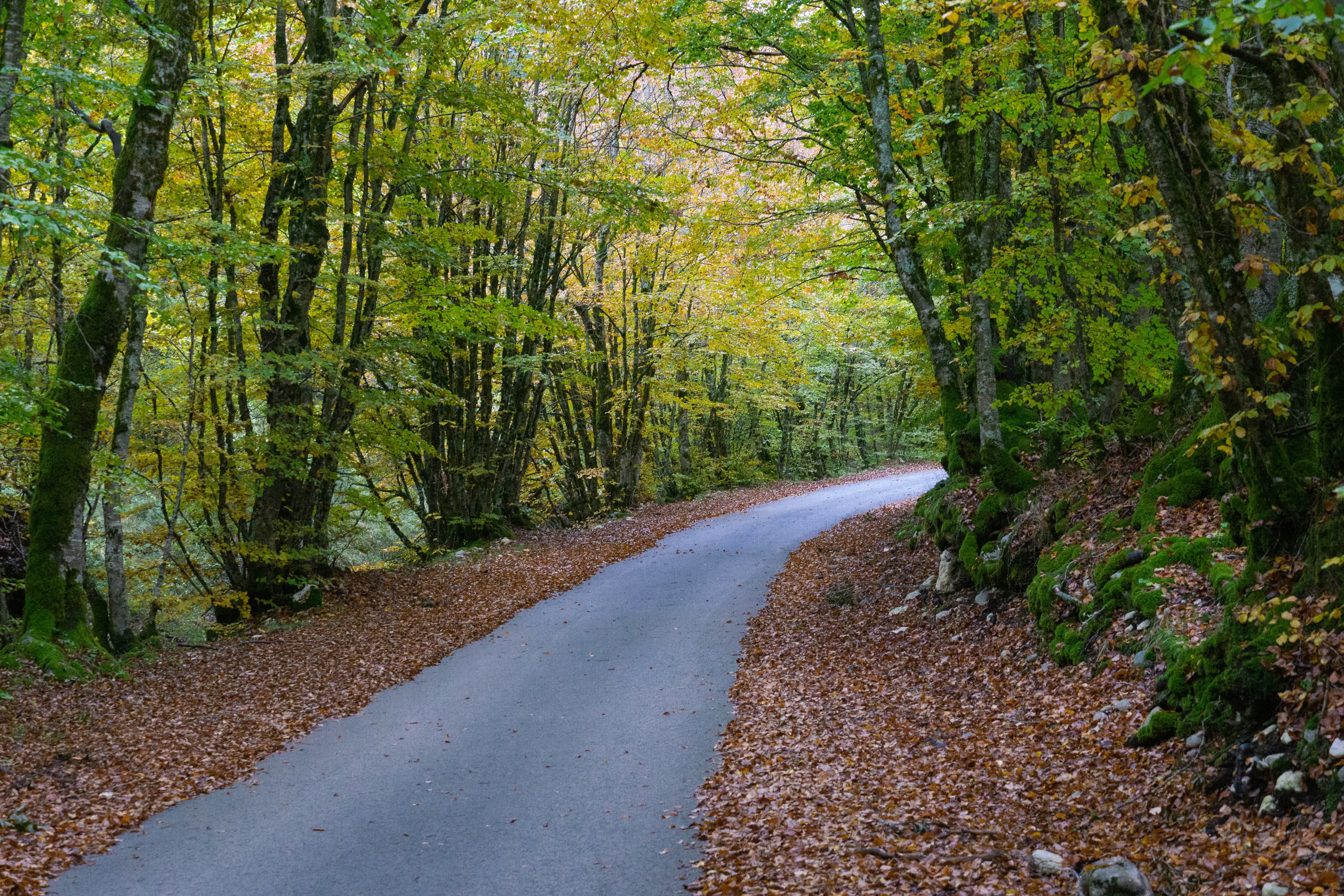 Parco Nazionale d'Abruzzo (Pescasseroli)